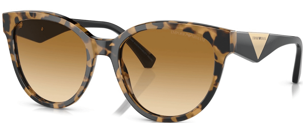 Emporio Armani Women’s Cat-Eye Sunglasses EA4140 60593B