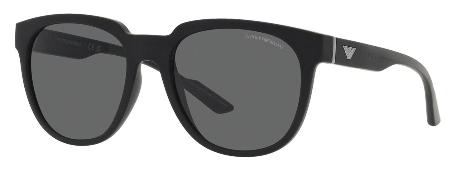 Emporio Armani Men’s panto sunglasses with interchangeable temples EA4205 500187