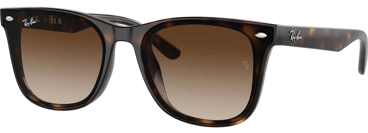 Ray-Ban Sunglasses in Havana and Brown RB4420 710/13