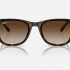 Ray-Ban Sunglasses in Havana and Brown RB4420 710/13